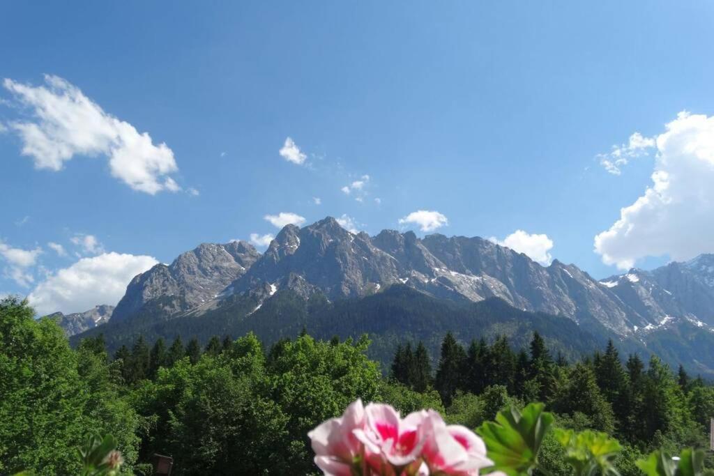 Ferienwohnung Zugspitze Грайнау Екстериор снимка